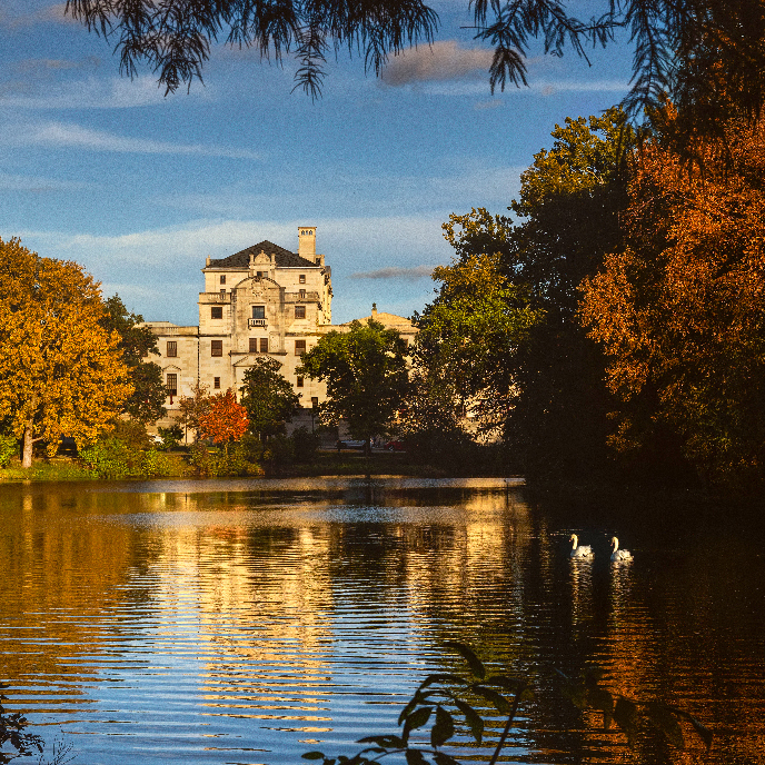 Image of Lake Lavern with two swans swimming.